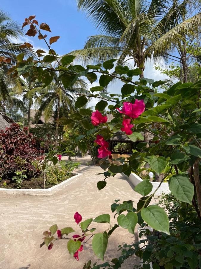 Michamvi Milele Lodge מראה חיצוני תמונה